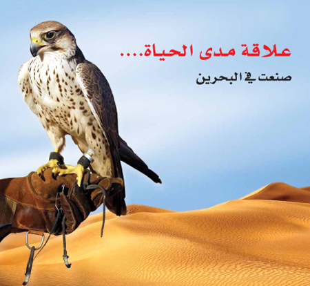 Arabic eagle photography